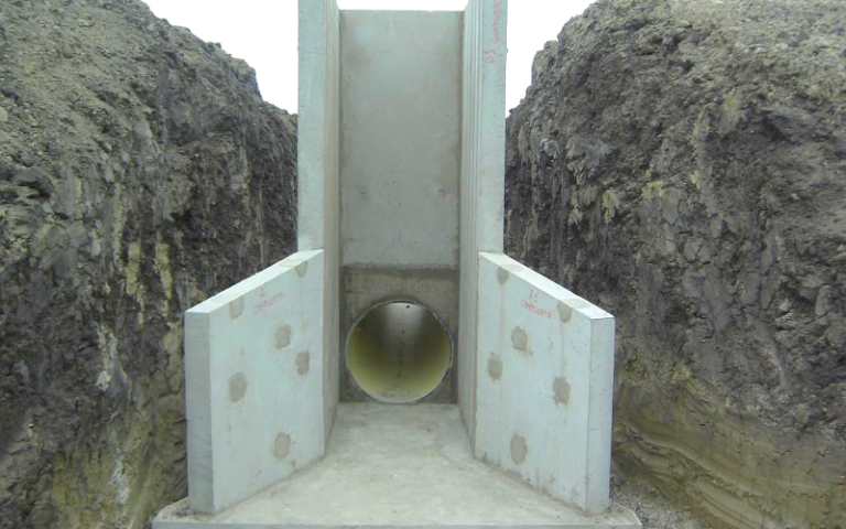 CAMARONERA4